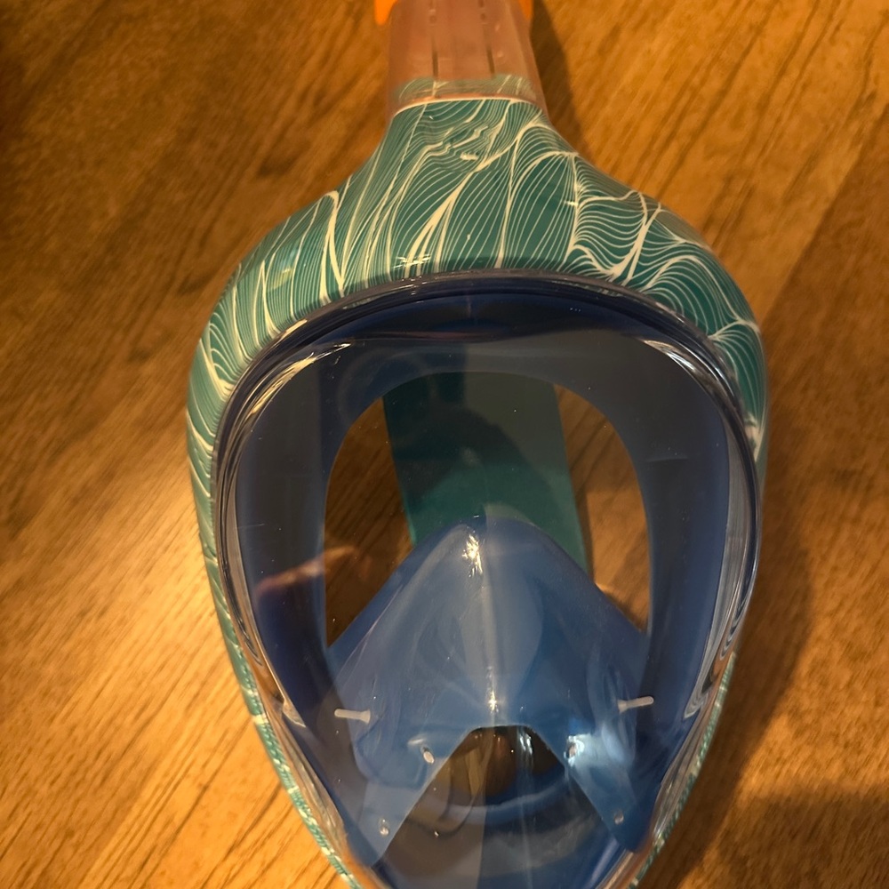 Full Face Snorkel Mask - Blue and Green